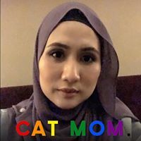 Azlein Zainuddin