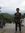 Sigit Tri