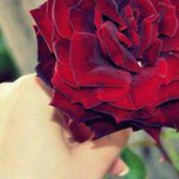 سبحان الحمدلله