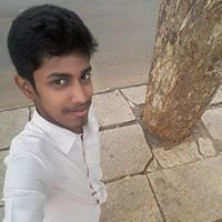 Harie Vignesh