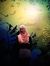 Fadilah...