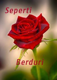 Hidayatullah Hidayatullah