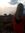Corina T