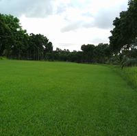 এমরান রহমান