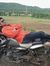 SUMIT P...