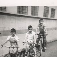 Armando Esteban Plesent