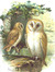 ToTheBirds