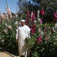 مانع المدني