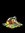 Pinedooz