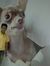 Ravi Bh...