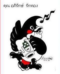 นกเพลง นักเลงไพร