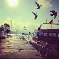 אסתברק מחאמיד