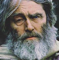 إباء الشامي