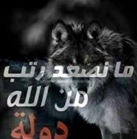 محمد خير
