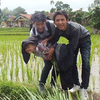 Yusril Arif