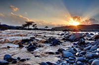 عبدالرحمن مشاري