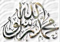 رضا راغب محمد