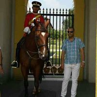 Mohamed Mostafa