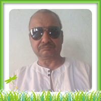 أحمد شلقامي أحمد علي