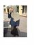 Is Aisyah