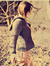 Nele