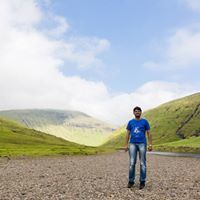 Srinath Narayanan