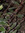Denise C | 4 comments
