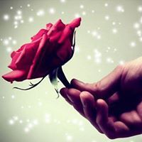 زهر الغاردينيآ