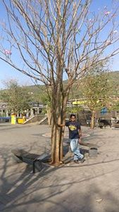 Shiva Singh