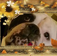 Ruth Downing Pelchat