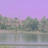 Ahmed Elnajjar