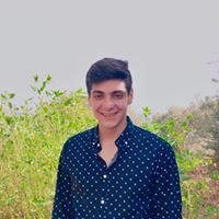 وائل عواضة