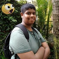 Dhanesh Ramesh