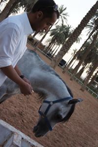 Mohammed Aldawood