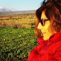 Deborah Seles Dayan