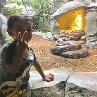 Ruknuddin Zainor