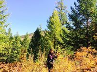 Б.Сайхан Аа