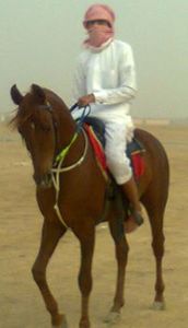 راعي الاصايل