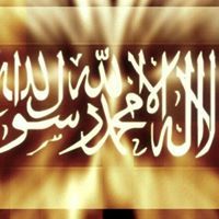 الوردة البرية