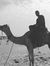 Ahmed A...
