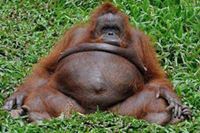 Lasha Samtchkuashvili