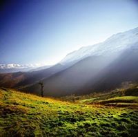 Lorena Miranda Salazar