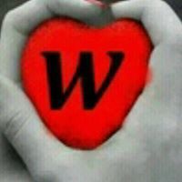 Wessam Nour