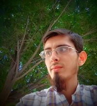 محمد المحمود