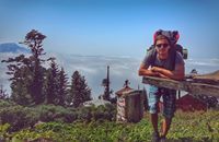 გოტა გოტა