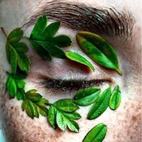 نسيم نوافلة