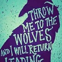 سقراط الجديد