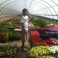 Karthaveerya Reddy