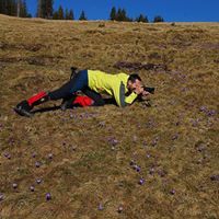 Денис Мирко