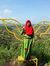 Dinul Q...